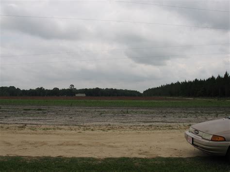 Read Obituary Tributes at Miles Odum Funeral Home in Waycross Georgia 8