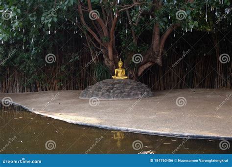 Golden Buddha Sitting Underneath The Bodhi Tree Stock Photo Image Of