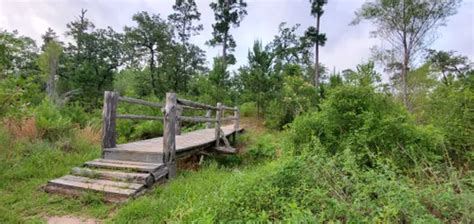 Best Hikes and Trails in Bastrop State Park | AllTrails