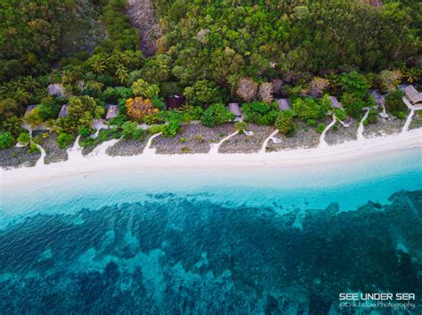 Diving in Alor - Trip Report 2017 - Bluewater Dive Travel