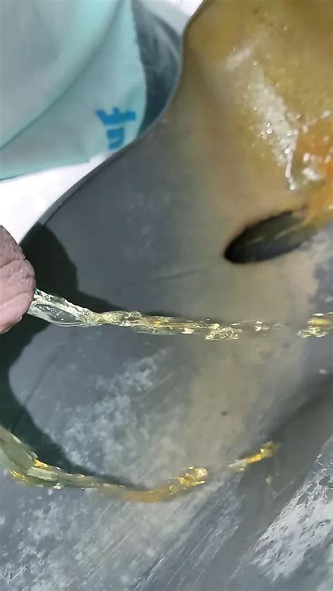 Piss Gay Man Porn Feat Danijel XHamster