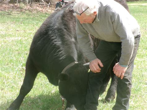 Stannard Farm Vermont Pure Maple Syrup - Did someone say "Winter Fruit