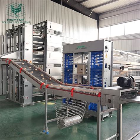 Rtl 3tier H Type Frame Automatic Poultry Farm Equipment Chicken Laying Hen Egg Layer Battery