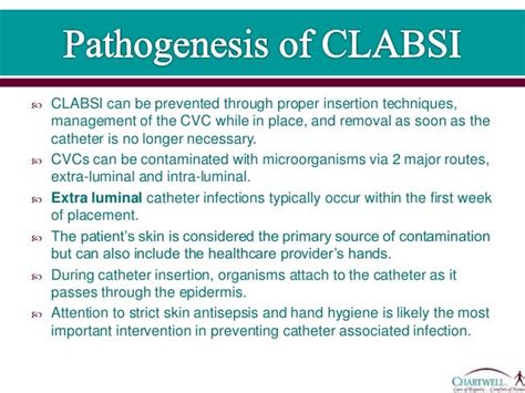 3. central line associated blood stream infection