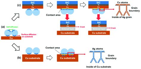 Schematic Illustration Of The Diffusion In The Cu Cu Bonding A Ag