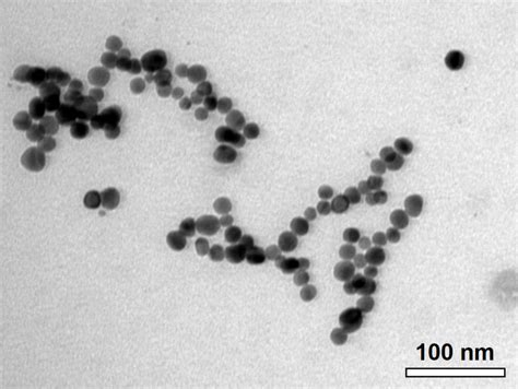 Characterization Of C AgNP 20 Representative TEM Image Of C AgNP 20 In