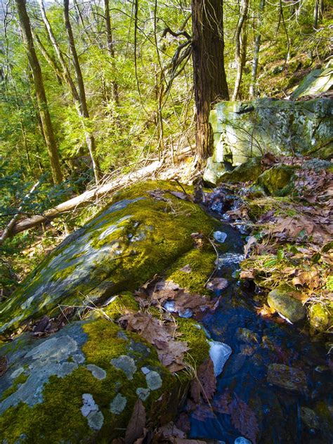 Hiking In Connecticut Has Long Been A Tradition Connecticuts Blue