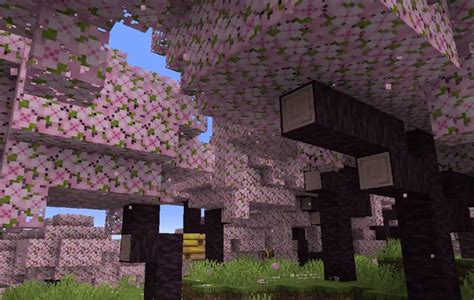 Minecraft Obtient Un Biome De Fleurs De Cerisier Dans La Mise Jour