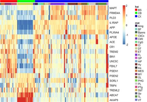 Analysis Of Brain Region Specific Co Expression Networks Reveals