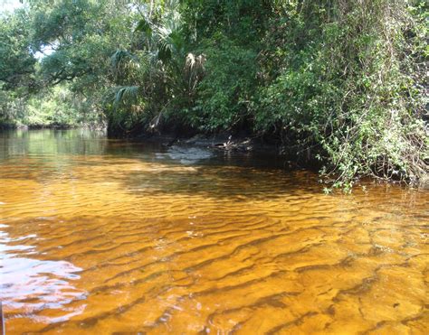 Little Manatee River State Park | Florida State Parks