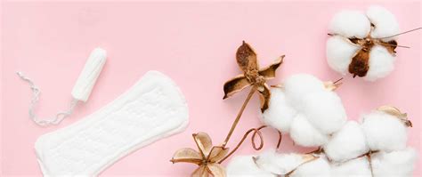 Biodegradable Sanitary Pads A Sustainable Choice For Women