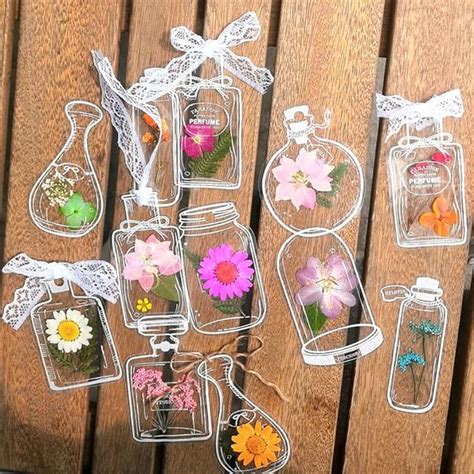 Amazon Transparent Dried Flower Bookmarks Pcs Set Diy