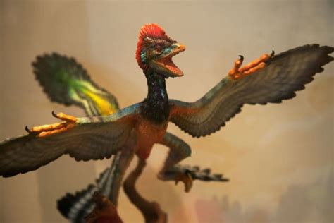 Scientists Create Chickens With Dinosaur Snouts To Study Evolution