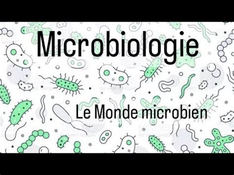 Microbiologie L2 SNV Le Monde Microbien YouTube