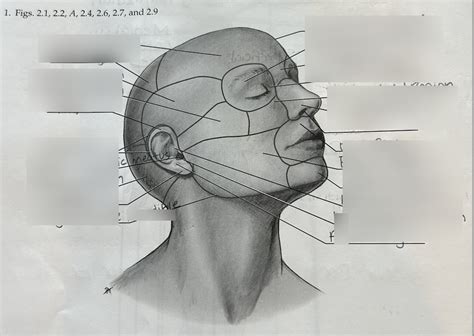 Chapter 2 Diagram Diagram | Quizlet 