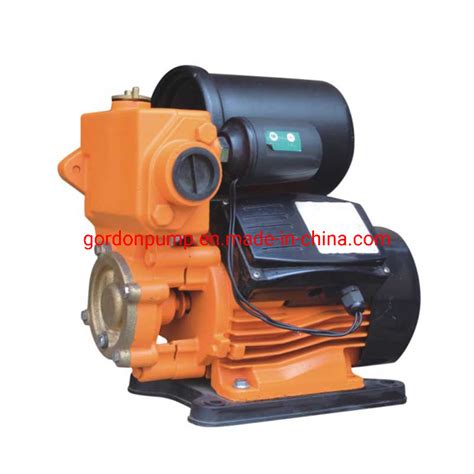 Automatic Pressure Control 220v Electric Self Priming Booster Water Pump China Pump And