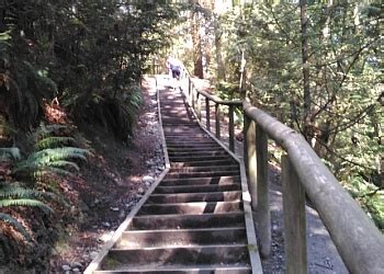 3 Best Hiking Trails in Burnaby, BC - ThreeBestRated