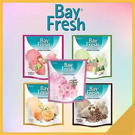 Jual Bay Fresh Everywhere Hanger Gantung 70 Gr Bayfresh Bungkus Pewangi