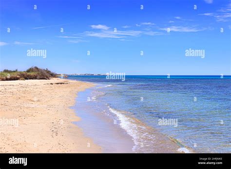 Typical Sandy Beach With Dunes In Puglia Italy The Regional Natural