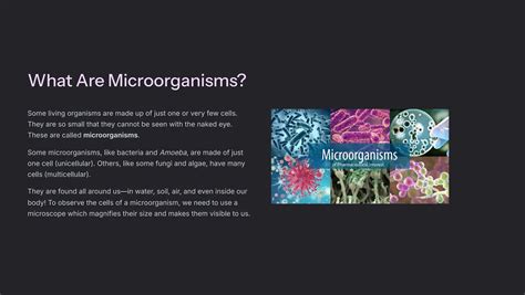 The Invisible Living World Beyond Our Naked Eye Chapter 2 Pdf 8th Science Curiosity By K