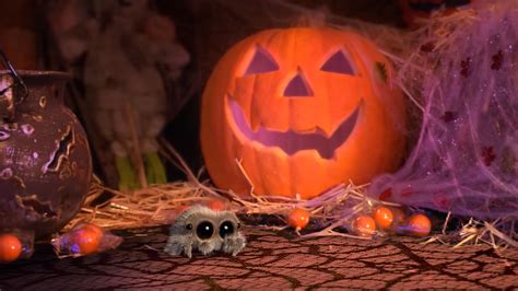 Things Get a Bit Spooky When Lucas the Spider Finds Another Spider's Web in His Home During ...