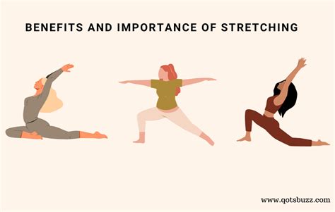 Benefits and Importance Of Stretching - Qots Buzz