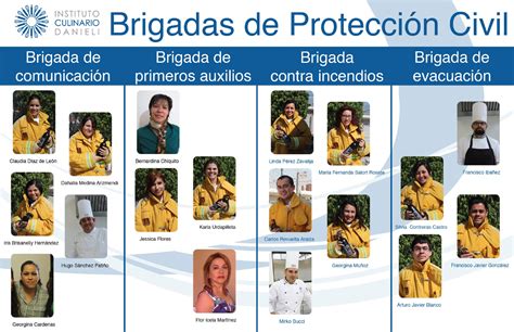 Brigadas De Proteccion Civil En Una Empresa Medidas De Cajones De