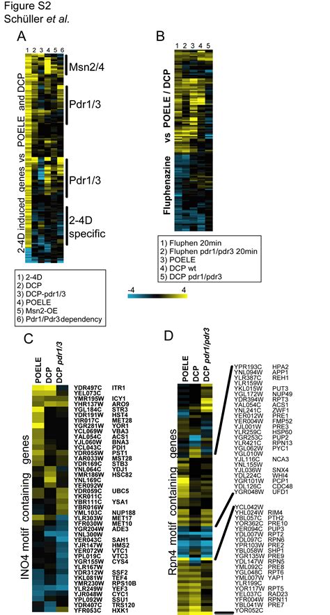 Membrane Active Compounds Activate The Transcription Factors Pdr And