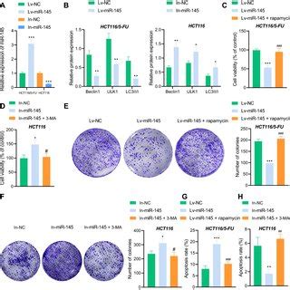 MiR 145 Affects Chemoresistance Of CRC Cells By Regulating CRC Cell