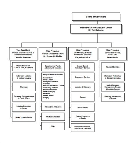 Organizational Chart For Hospital