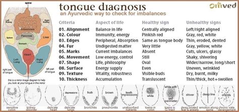 Tongue Diagnosis: What Your Tongue Can Tell You About Your Health ...