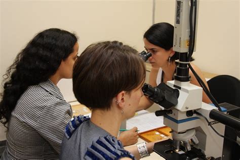 Laborat Rio De Odontologia Usp Imagens