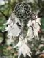 Mehruna Dream Catchers Wall Hangings For Home Decor Bedroom Livingroom