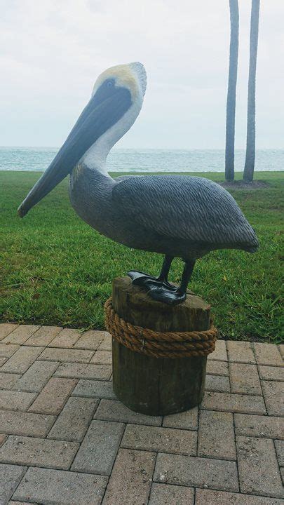 Chris Dixon Studios Artist Pelican Statue Is Gulf Front In His New