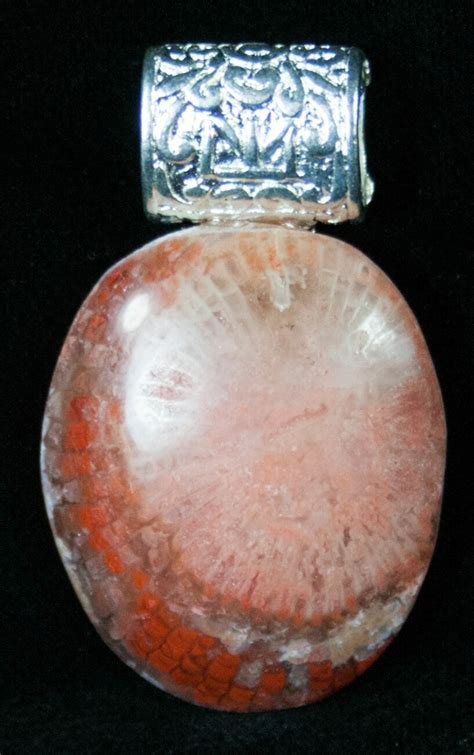 Fossil Red Horn Coral Pendant - Utah (#14876) For Sale - FossilEra.com