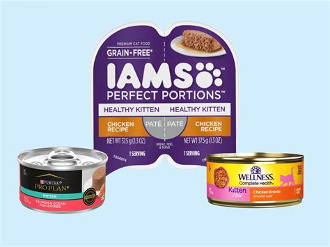 The Best Wet Cat Foods Of 2024 According To Veterinarians