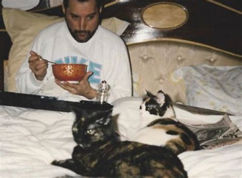 13 Rare Photos Of Freddie Mercury And His Cats