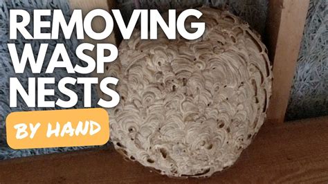 How To Remove Wasp Nests From Your Roof By Hand Youtube