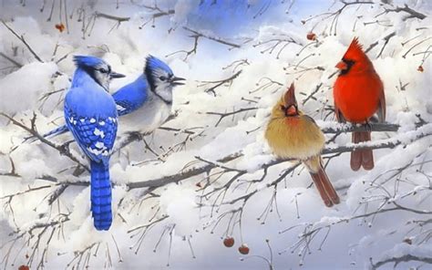 Winter Cardinals Wallpapers - Wallpaper Cave