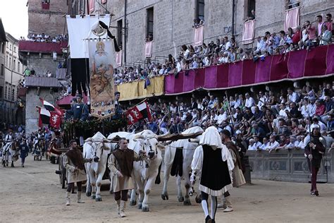 Corteo Storico Le Foto Siena News