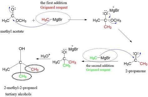 Essential Organic Chemistry 9780133867190 Exercise 11 Quizlet