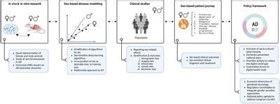 Frontiers Sex And Gender Considerations In Alzheimers Disease The