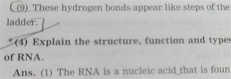 9 These Hydrogen Bonds Appear Like Steps Of The Ladder 4 Explain The