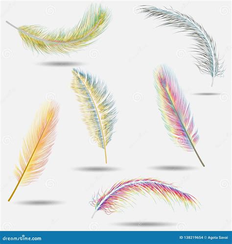 Realistic Feathers Colorful Bird Falling Feather Isolated On White