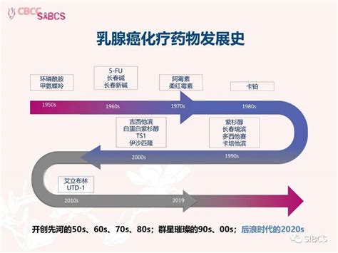 胡夕春：晚期三阴性乳腺癌的gap研究 搜狐大视野 搜狐新闻