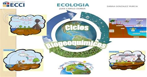 Ciclo Biogeoquimicos Exposicion Azufre [pptx Powerpoint]