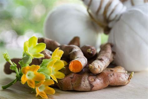 Turmeric Comprises Bioactive Compounds With Strong Medicinal Properties Curcumin Times