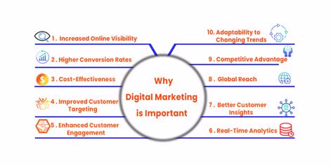 Importance Of Digital Marketing For B B B C Business Himflax Group