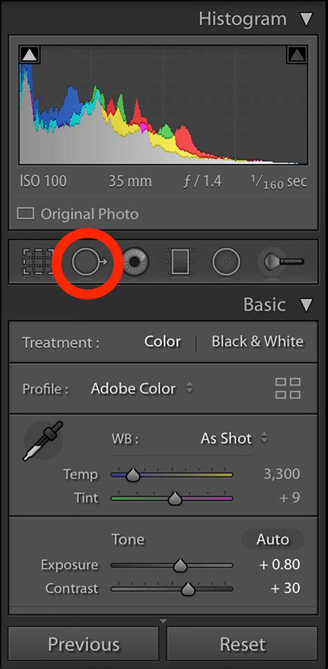 How To Use the Spot Removal Tool In Lightroom - Hue & Hatchet