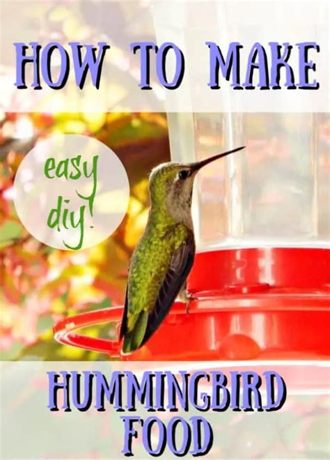 How To Make Hummingbird Nectar Diy Don T Buy Receita